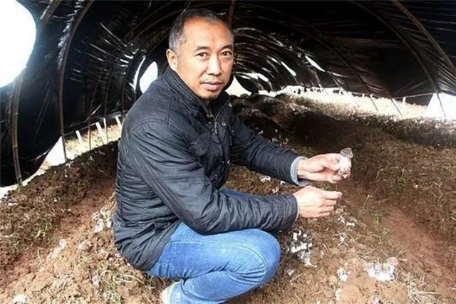 納溪白節(jié)張治國：大球蓋菇外銷受阻　加工存儲(chǔ)止損