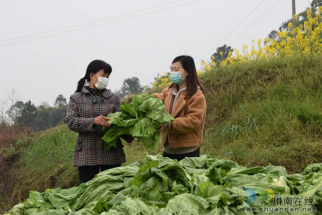 疫情戰(zhàn)線見(jiàn)擔(dān)當(dāng) 扶貧路上礪青春(圖5)