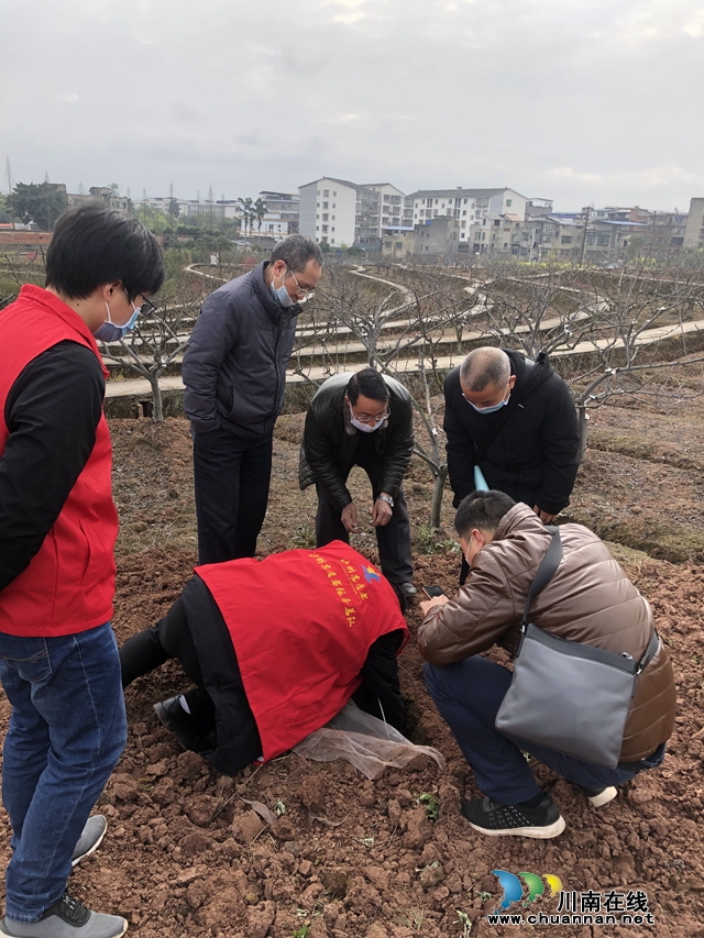 瀘州市農(nóng)業(yè)農(nóng)村局到瀘縣督查農(nóng)藥包裝廢棄物押金回收和草地貪夜蛾防控工作(圖2)