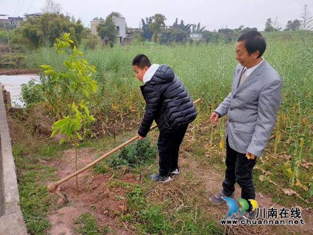 瀘縣玉蟾街道城北小學校開展2020年春季植樹節(jié)活動