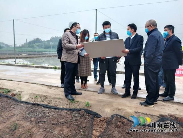 肖剛率隊到瀘縣玉蟾街道督導民生工程建設(shè)