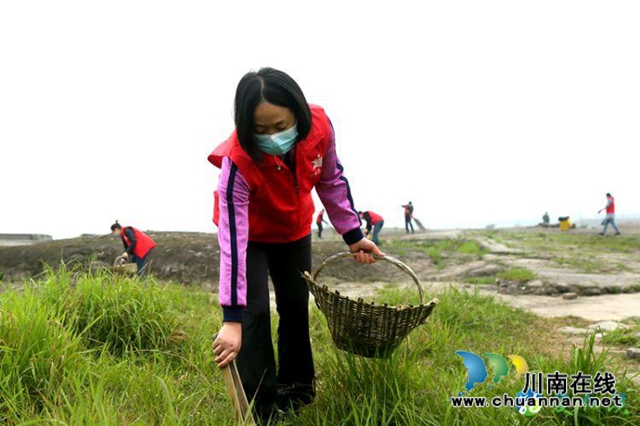 納溪區(qū)萬名黨員干部職工為家園“清肺”(圖2)