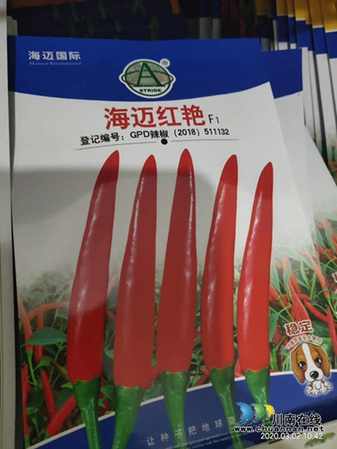 瀘縣云龍鎮(zhèn)：蔬果聯(lián)姻促融合，多點開花促增收(圖11)