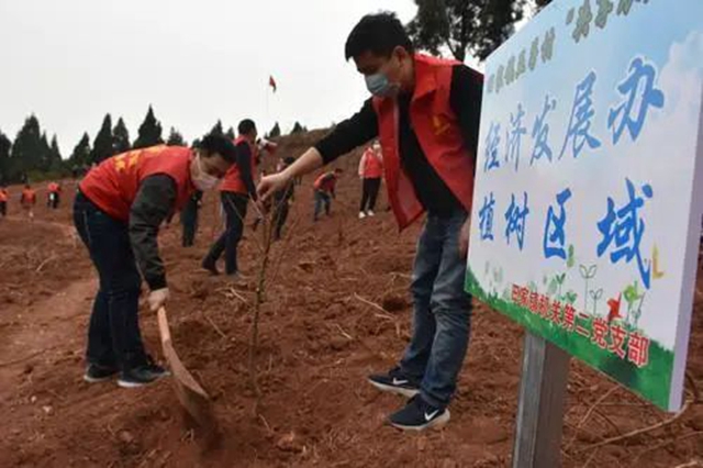 目標(biāo)定了！今年，內(nèi)江市人均兩人義務(wù)栽一棵樹(圖4)