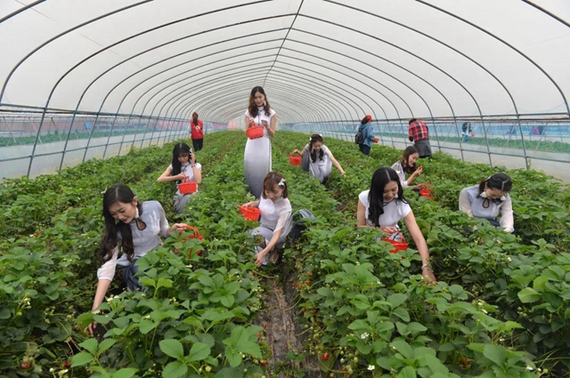 陽光明媚好踏春！內(nèi)江這些地方有花有景有美食(圖8)