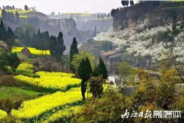 陽光明媚好踏春！內(nèi)江這些地方有花有景有美食(圖24)