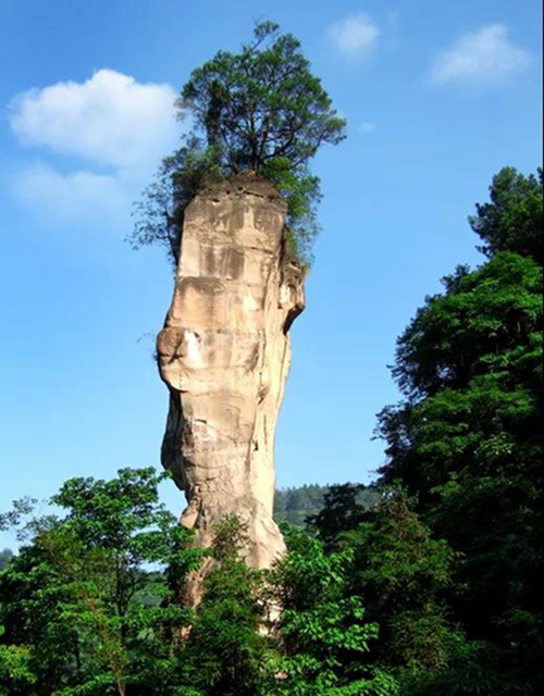 陽光明媚好踏春！內(nèi)江這些地方有花有景有美食(圖47)