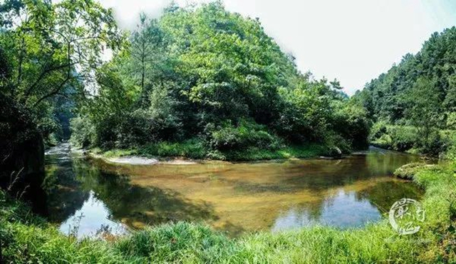 陽光明媚好踏春！內(nèi)江這些地方有花有景有美食(圖48)