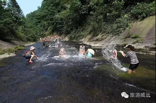 陽光明媚好踏春！內(nèi)江這些地方有花有景有美食(圖49)