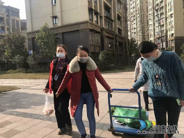 瀘縣玉蟾街道朝陽社區(qū)黨委書記陳霞的防疫故事(圖5)