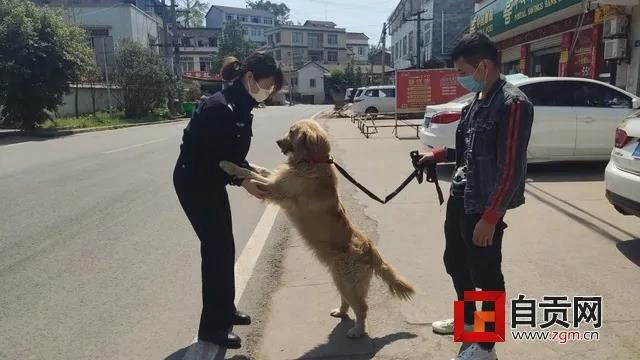 可愛的它找到新家了！但自貢牛佛派出所的民警卻哭了……(圖2)