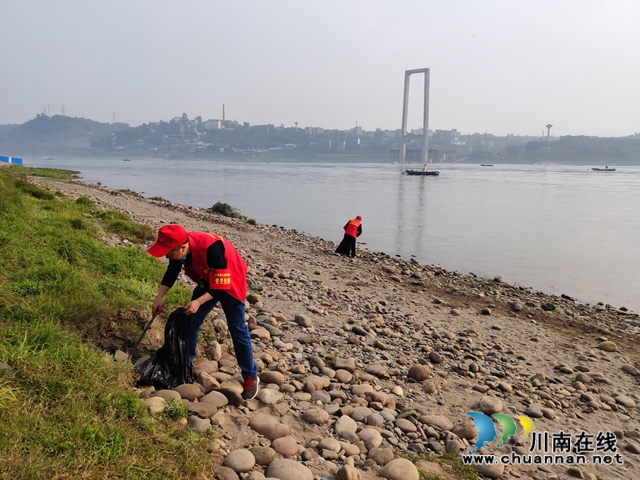 江陽區(qū)茜草街道桂圓林社區(qū)：清除河灘垃圾  共護一江綠水