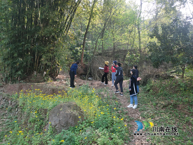 瀘州市自然資源和規(guī)劃局實地督查瀘縣汛前地災防治工作
