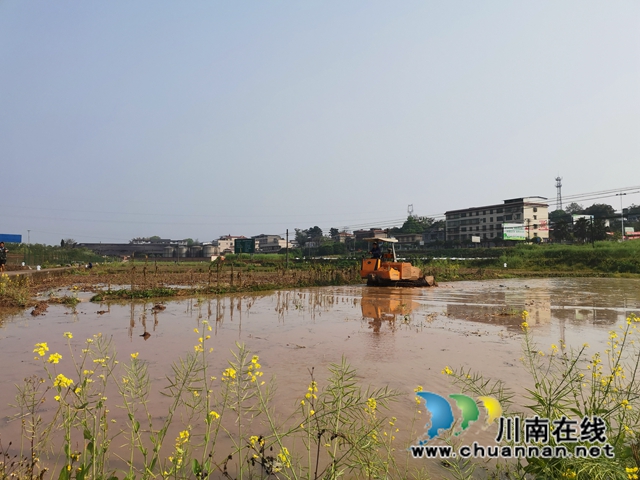 瀘縣水庫開閘放水，自流灌溉8萬畝稻田(圖2)