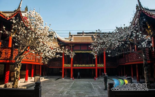 四川112家景區(qū)4月免門票了！瀘州有3處(圖3)