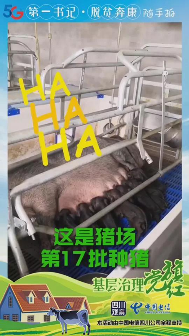 火了！內(nèi)江出了位“豬肉西施”(圖3)