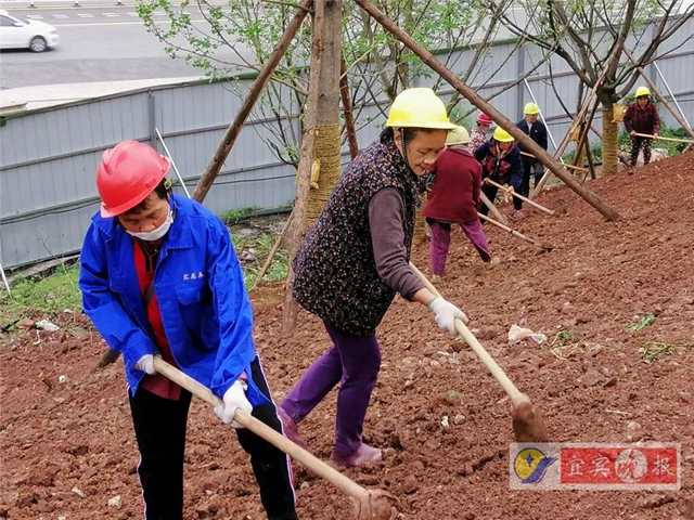 宜賓這個(gè)超大森林公園下月完工！風(fēng)景獨(dú)特功能豐富，有望成為長(zhǎng)江封面