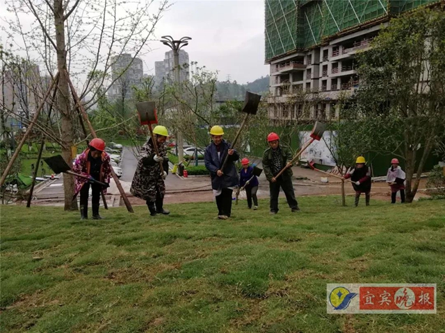 宜賓這個超大森林公園下月完工！風景獨特功能豐富，有望成為長江封面(圖3)