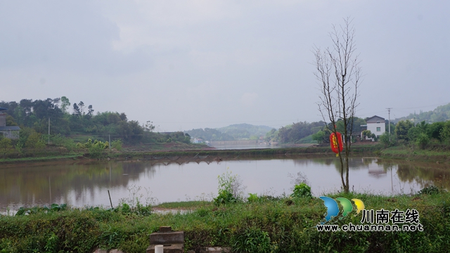 瀘縣立石鎮(zhèn)殘疾人李世興：魚(yú)兒鋪就致富路 創(chuàng)業(yè)四年還清貸款20萬(wàn)