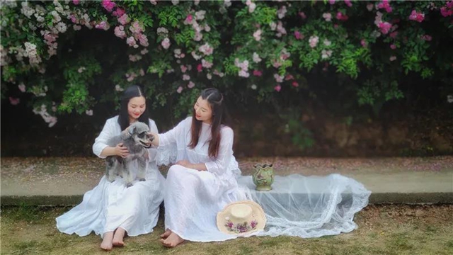 江陽(yáng)薔薇開(kāi)了！來(lái)一套田園寫(xiě)真集不香嗎？(圖12)