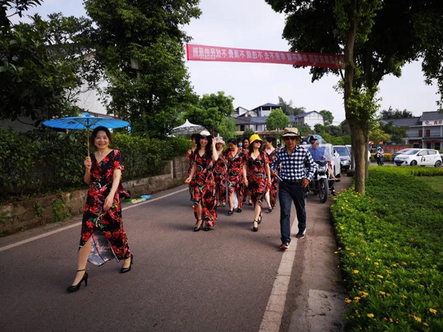 江陽(yáng)薔薇開(kāi)了！來(lái)一套田園寫(xiě)真集不香嗎？(圖18)