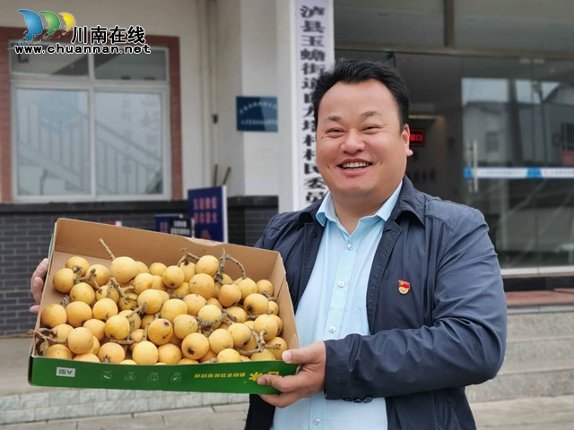 約起來！瀘縣白龍塔村千畝枇杷熟了！(圖10)