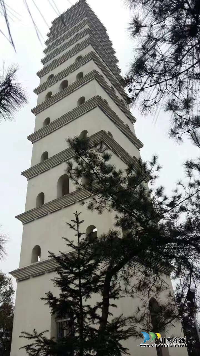 買枇杷、吃“跑山雞"、耍農(nóng)家樂…瀘縣白龍塔村聯(lián)系電話來了！(圖3)