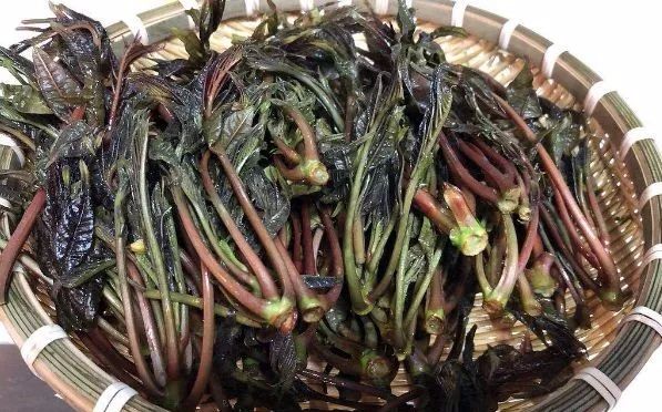 【分享】不焯水不能吃的四種菜，你都知道嗎？(圖3)