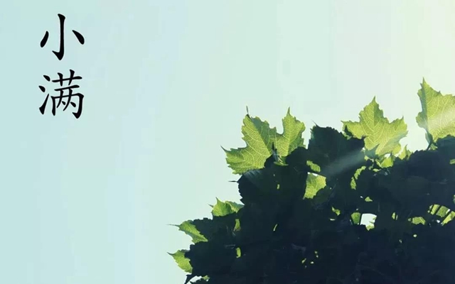 【警惕】今天起，這三類東西一定要忌嘴？(圖3)