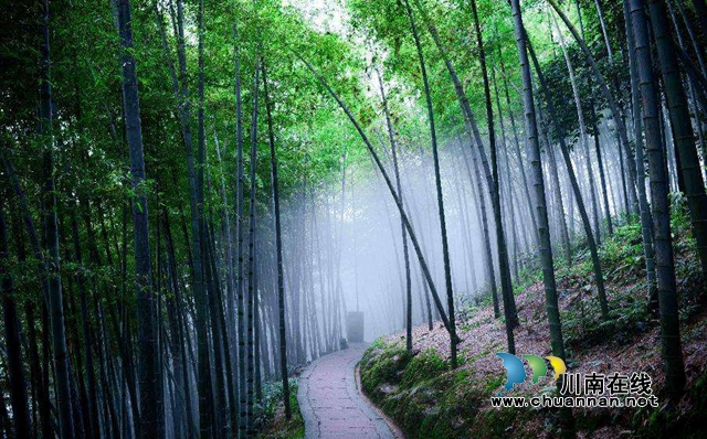 福利來了！瀘州宜賓江津景區(qū)聯(lián)手惠民：上萬張門票免費送！(圖3)