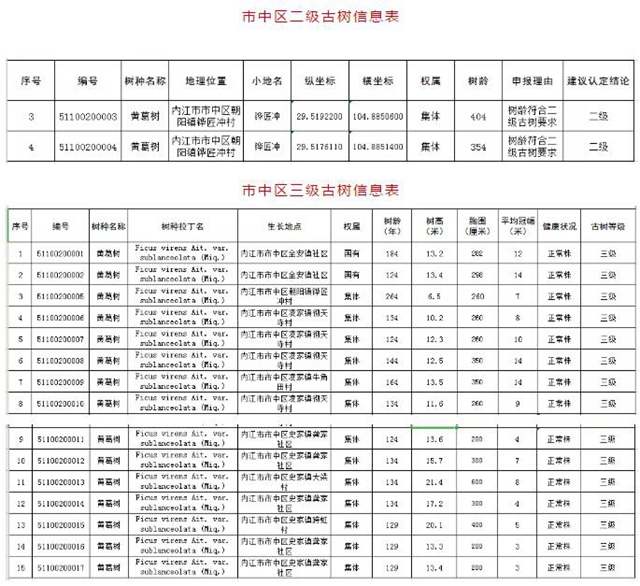 圍觀！內江這些“老古董”有了“身份證”(圖9)