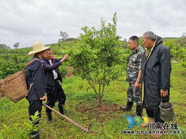 瀘縣太伏鎮(zhèn)：駐村工作隊(duì)成為沙河村“泥腿子”脫貧領(lǐng)路人(圖2)