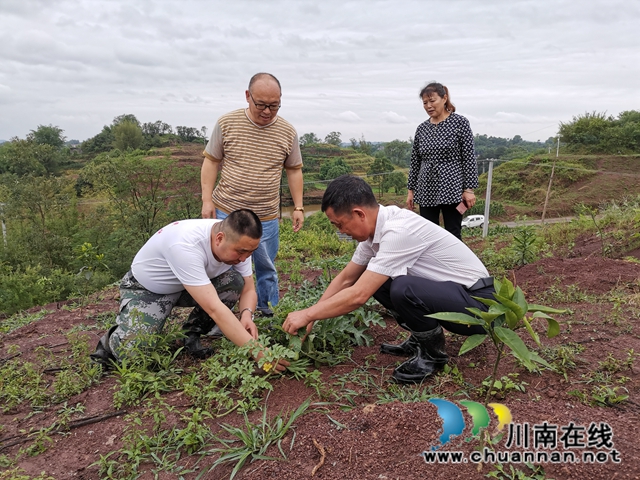 瀘縣太伏鎮(zhèn)：駐村工作隊(duì)成為沙河村“泥腿子”脫貧領(lǐng)路人(圖4)