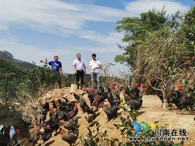 瀘縣喻寺鎮(zhèn)：助人自助 周堰村駐村工作隊造血式扶貧(圖4)