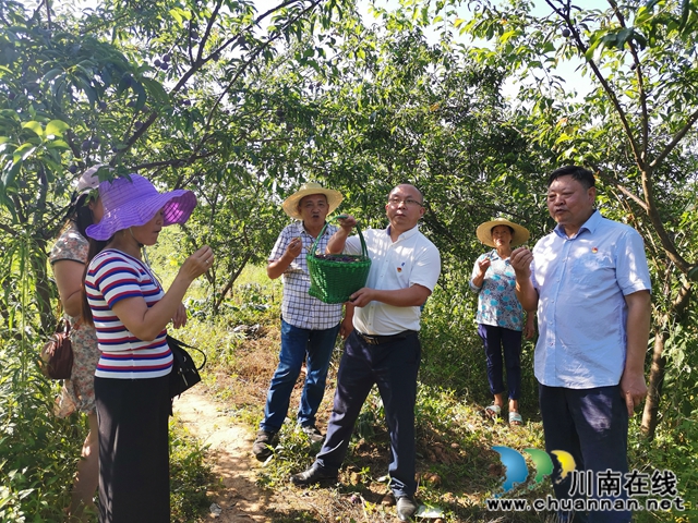 瀘縣立石鎮(zhèn)普照村：駐村工作隊讓黨的惠民政策普照千萬家(圖4)