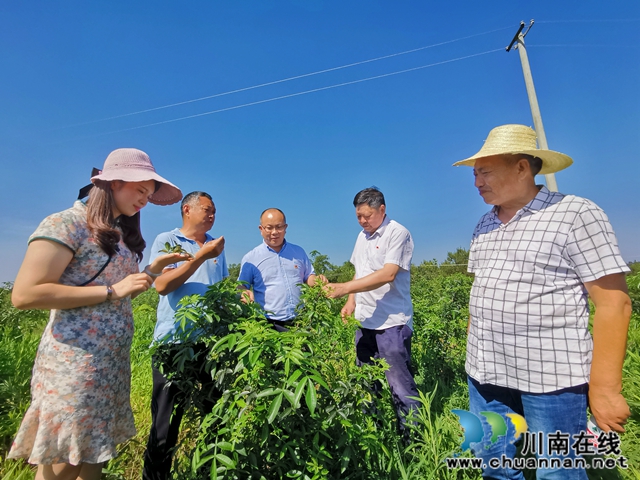 瀘縣立石鎮(zhèn)普照村：駐村工作隊讓黨的惠民政策普照千萬家(圖5)