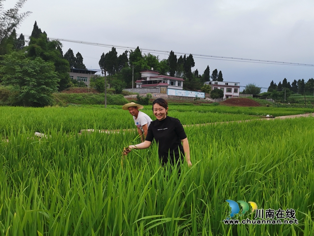 瀘縣太伏鎮(zhèn)：玩抖音開(kāi)網(wǎng)店種養(yǎng)新奇特 駐村工作隊(duì)講好伏龍村富農(nóng)脫貧故事(圖5)