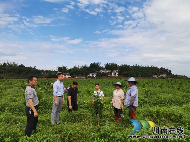 瀘縣海潮鎮(zhèn)：駐村工作隊(duì)找來脫貧路，村民當(dāng)上產(chǎn)業(yè)工人圓了致富夢(圖1)