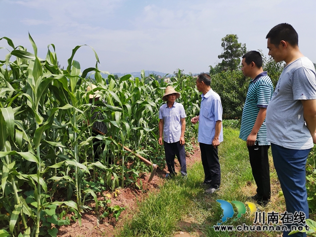 瀘縣天興鎮(zhèn)志城村：辦市場(chǎng)、興產(chǎn)業(yè)、育能人 駐村工作隊(duì)的三大脫貧法寶(圖4)