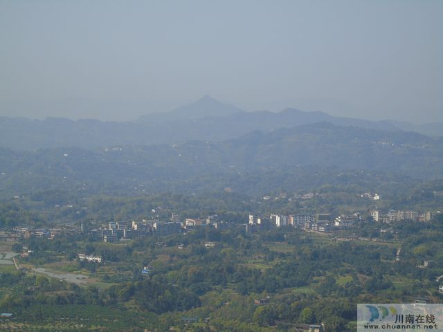 王麗川：爬鹿游坎