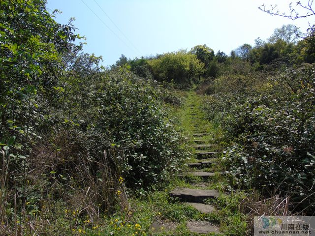 王麗川：爬鹿游坎(圖2)