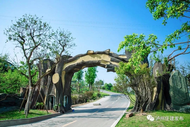 瀘州市植物園申報省級重點公園(圖1)