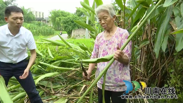 合江縣鼓樓山村“海歸”職業(yè)經(jīng)理人鄧啟明：走出“小家”，心存“大家”