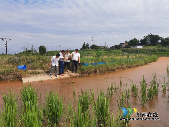 瀘縣兆雅鎮(zhèn)：駐村工作隊精準(zhǔn)施策 型家村脫貧產(chǎn)業(yè)開花結(jié)果(圖3)