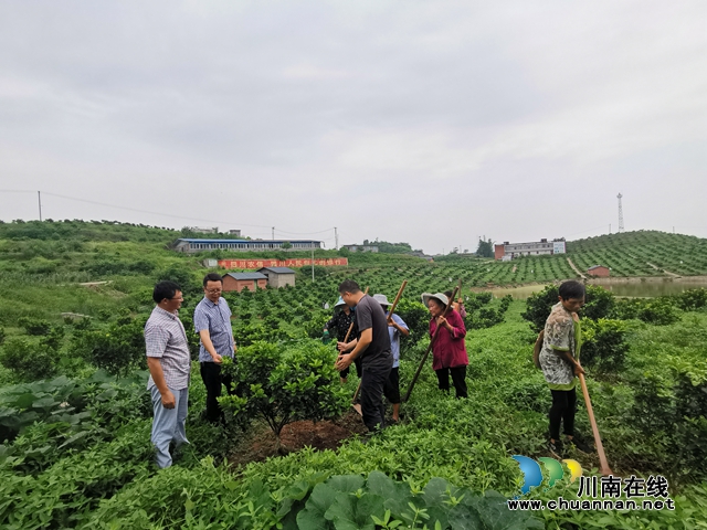 扶上馬送一程 瀘縣福集鎮(zhèn)清華村駐村工作隊(duì)的扶貧經(jīng)(圖2)