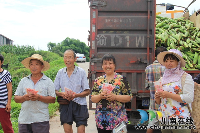 瀘縣云龍鎮(zhèn)：訂單農(nóng)業(yè)讓農(nóng)戶(hù)種地省心有賺頭(圖3)