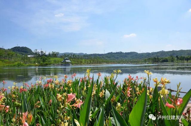 山水如畫！瀘州漁子溪生態(tài)公園下月驗收！(圖2)