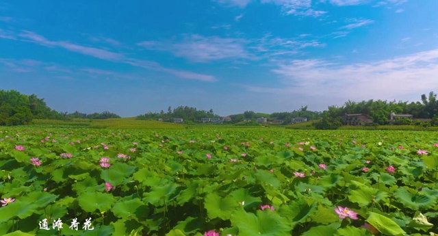 行走江陽(yáng)｜三十秒帶你看絕美的光影(圖1)