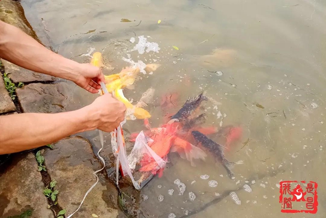 隆昌：昔日水庫“變”公園！你還認(rèn)識它嗎？(圖7)