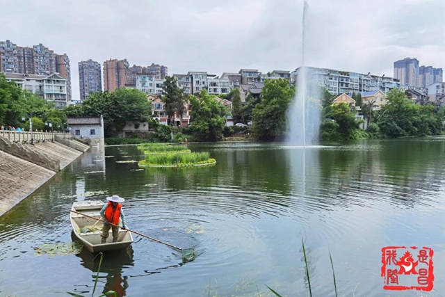 昔日水庫“變”公園！內(nèi)江人，你還認(rèn)識它嗎？(圖9)